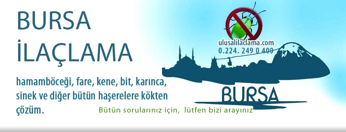 Bursa ilaçlama kökten çözüm ve ilaçlama fiyatları...