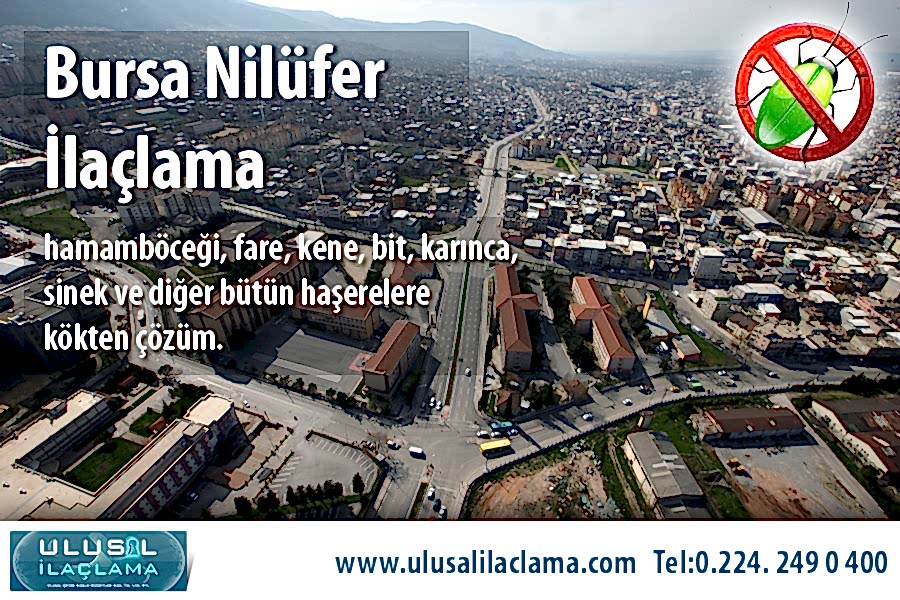 BURSA NİLÜFER İLAÇLAMA...