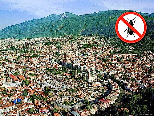 Bursa ilaçlama BÖCEK İLAÇLAMA...