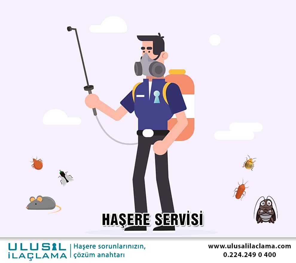 HAŞERE SERVİSİ...