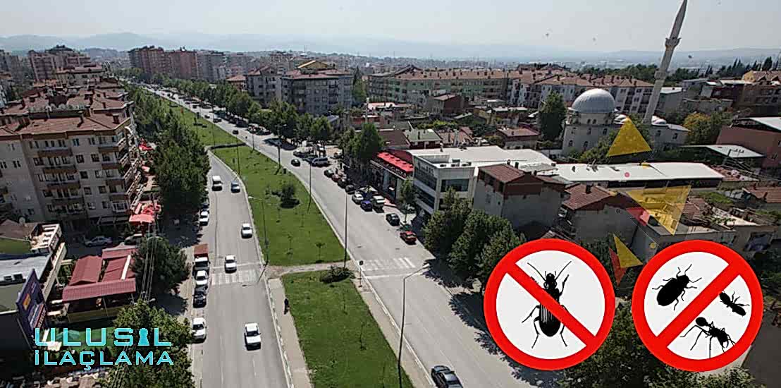 BÖCEK İLAÇLAMA BURSA NİLÜFER...