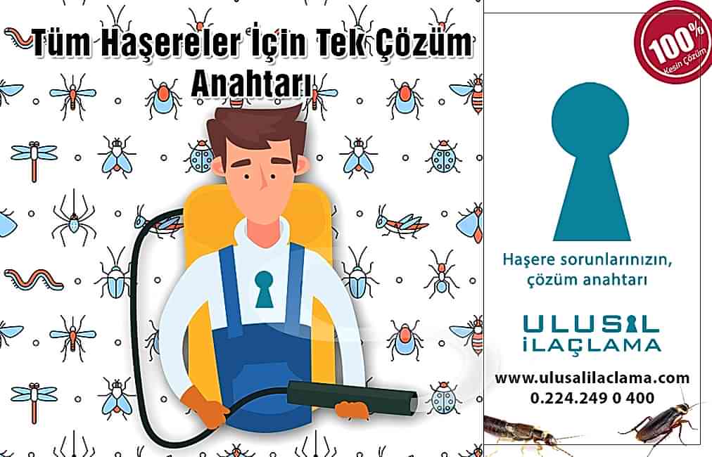 HAŞERE İLAÇLAMA BURSA...