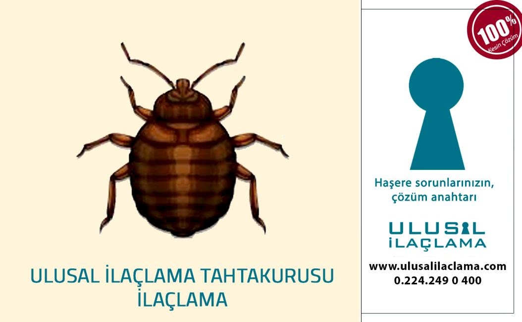 TAHTAKURUSU İLAÇLAMA...