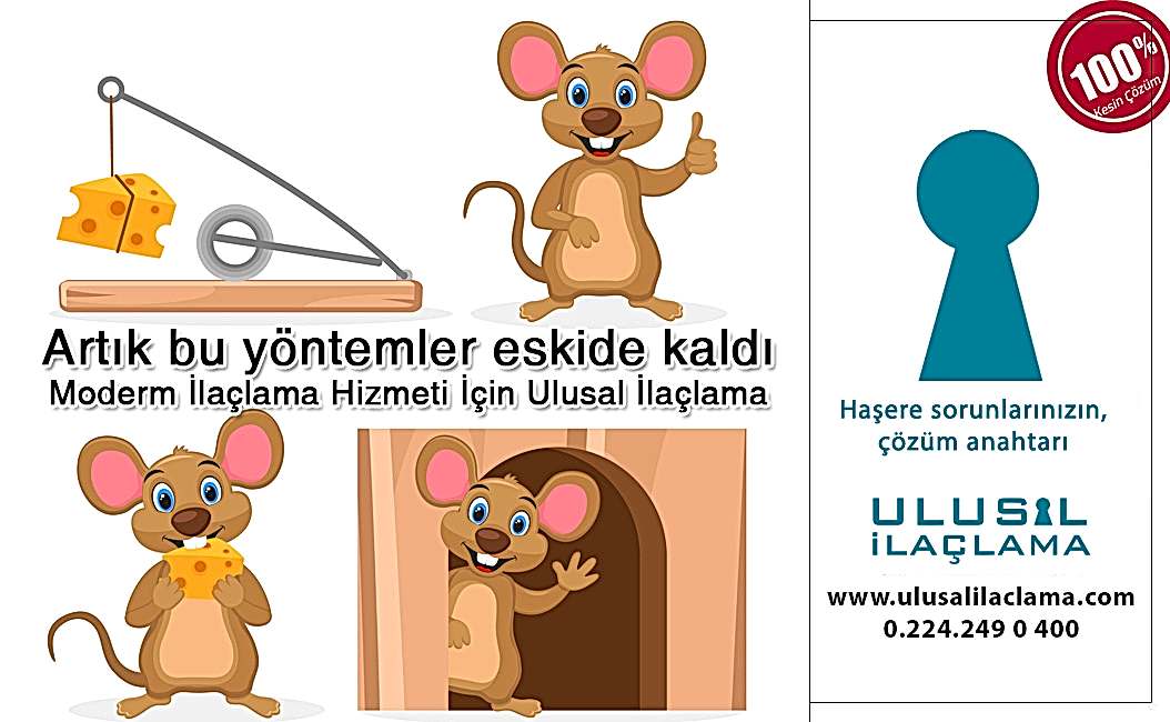 Bursa ilaçlama FARE İLAÇLAMA FİYATLARI...