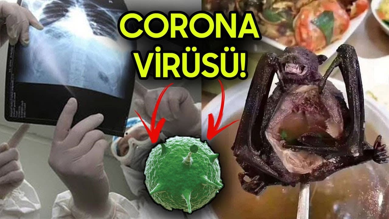 CORONA VİRÜS DEZENFEKSİYON BURSA...