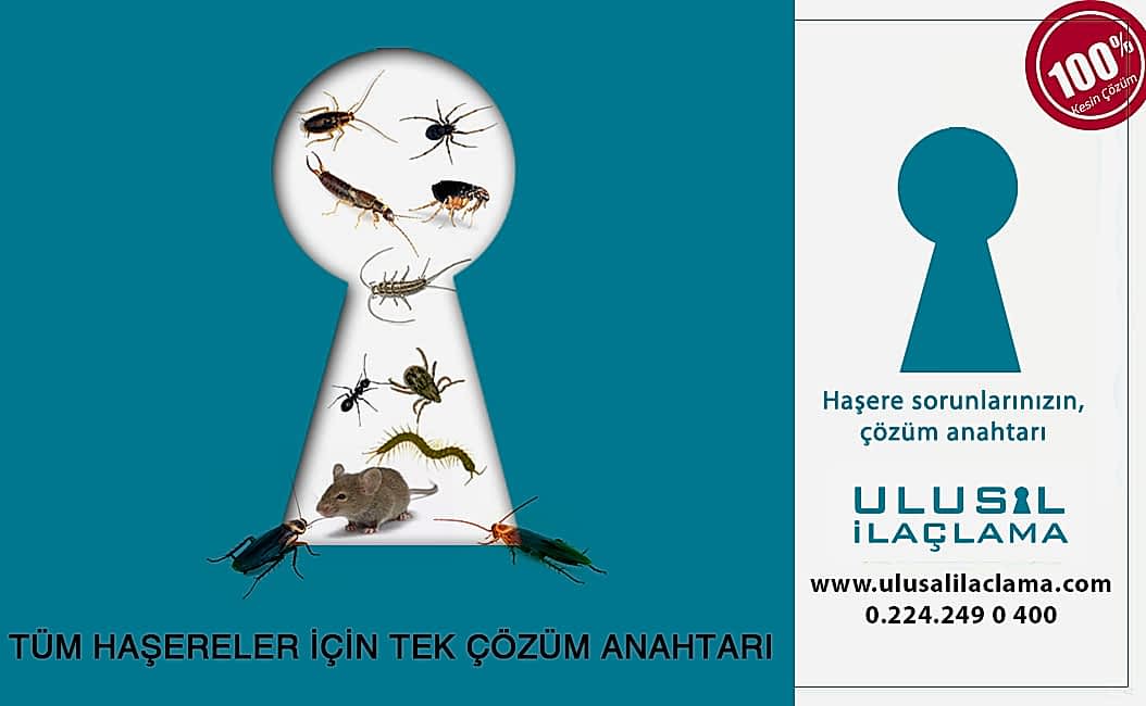 Bursa ilaçlama BURSA HAŞERE İLAÇLAMA...