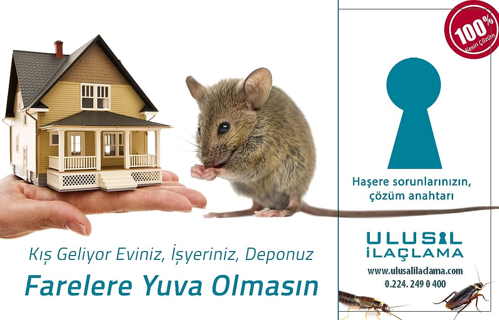 ÇATIDAN SES GELİYOR FARE OLABİLİRMİ...