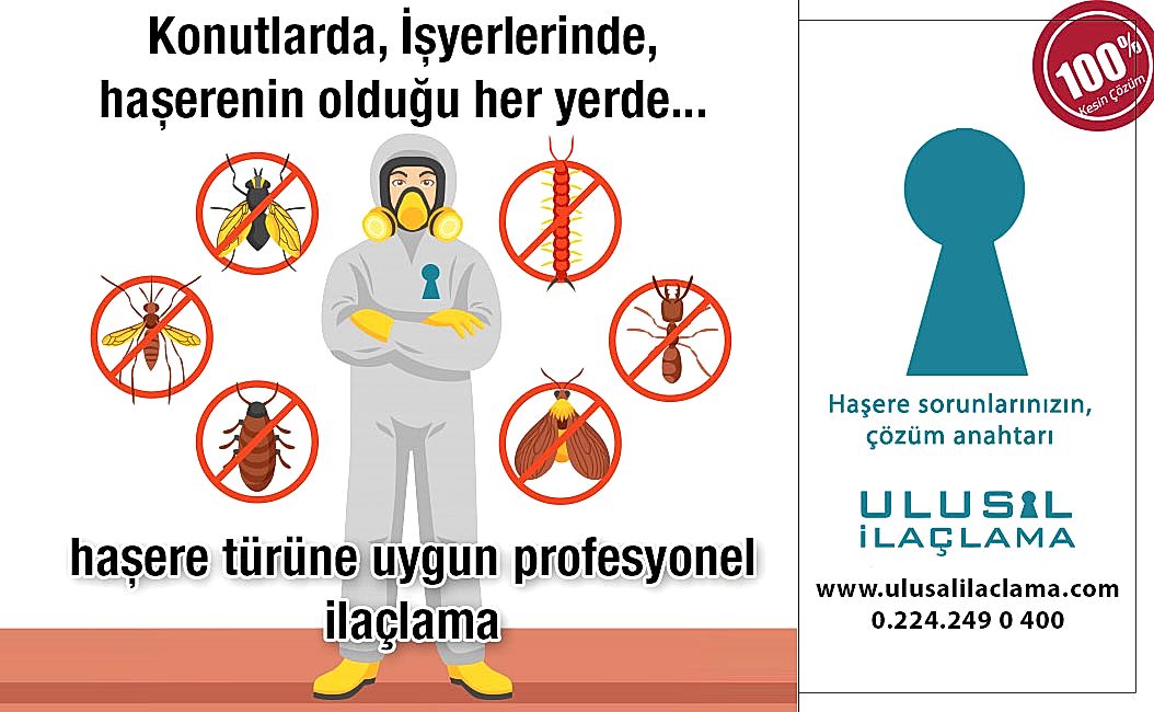 EVİMDE HAŞERELER VAR NASIL KURTULURUM...