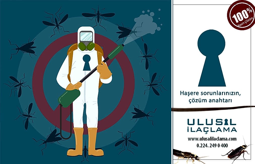 EVİMDE KÜÇÜK SİNEKLER VAR...