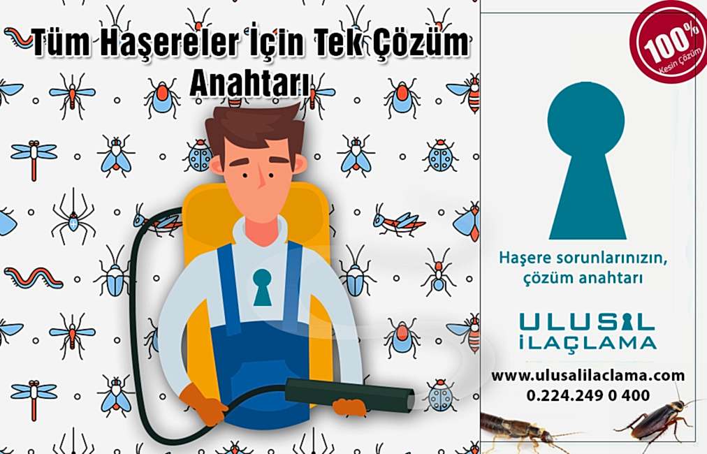 BÖCEK İLAÇLAMA...