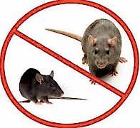 FAREDEN KURTULMANIN EN ETKİLİ YOLLARI...