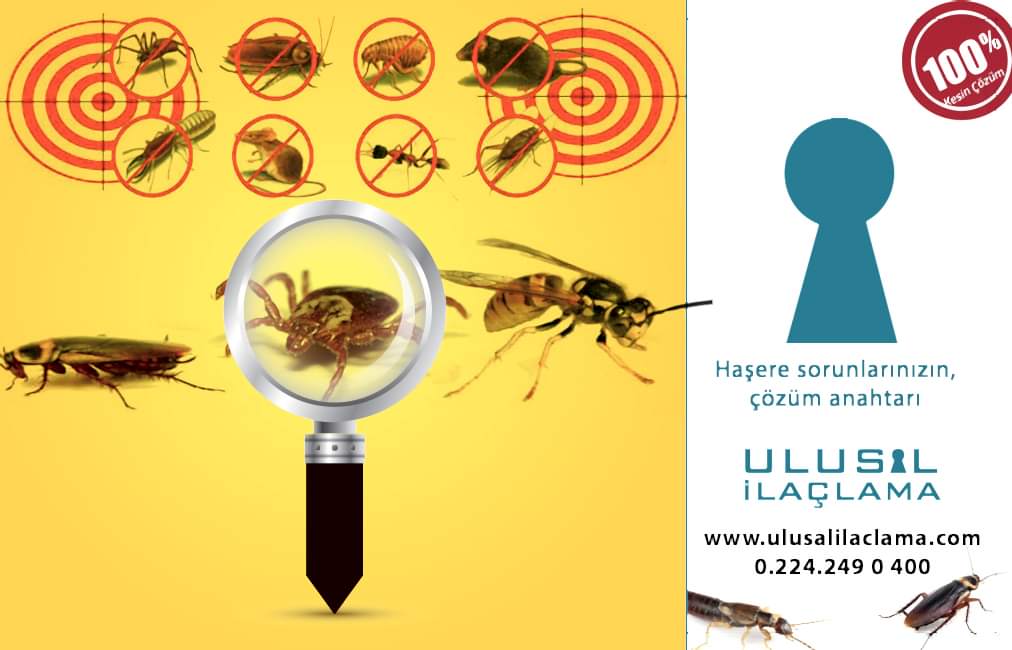DOĞAL VE PROFESYONEL BÖCEK MÜCADELESİ...