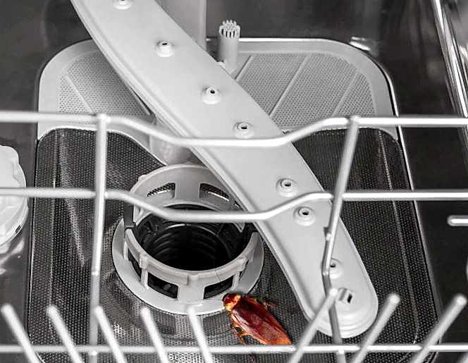 BULAŞIK MAKİNASINDAN ÇIKAN BÖCEK...