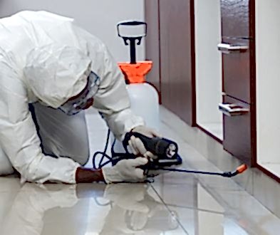 EVDE BÖCEKLER GECE ÇIKIYOR İLAÇLAMA NE ZAMAN YAPILMALI...