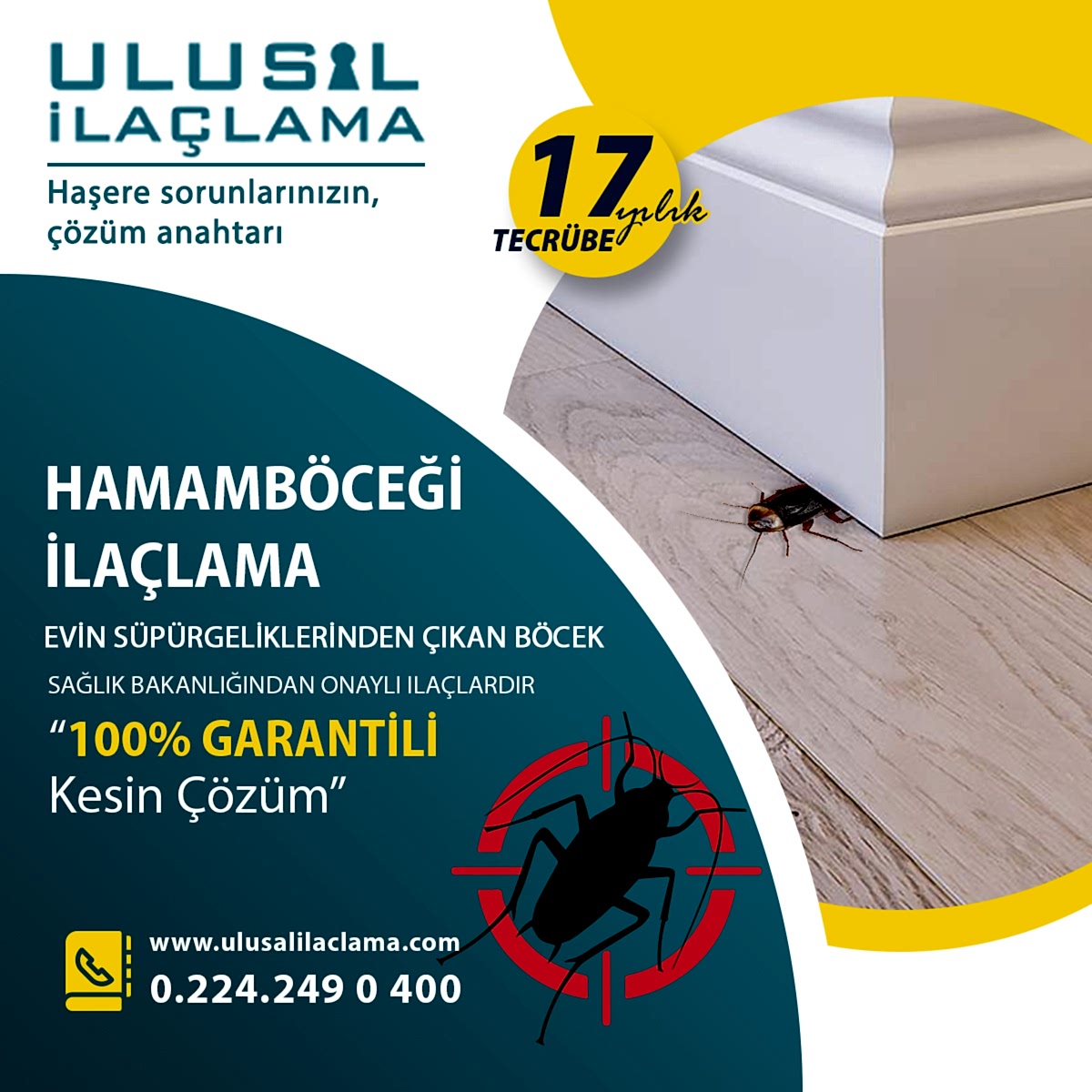 EVİN SÜPÜRGELİKLERİNDEN ÇIKAN BÖCEK...