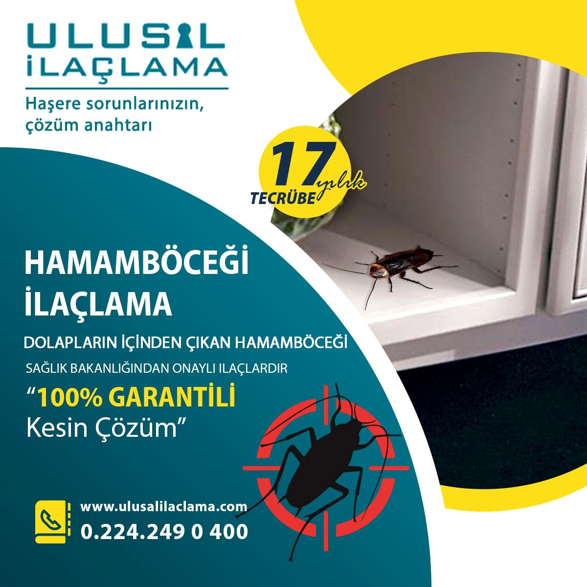 DOLAPLARIN İÇİNDEN ÇIKAN HAMAMBÖCEĞİ...