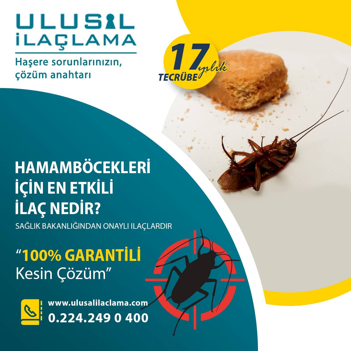 HAMAMBÖCEKLERİ İÇİN EN ETKİLİ İLAÇ NEDİR...
