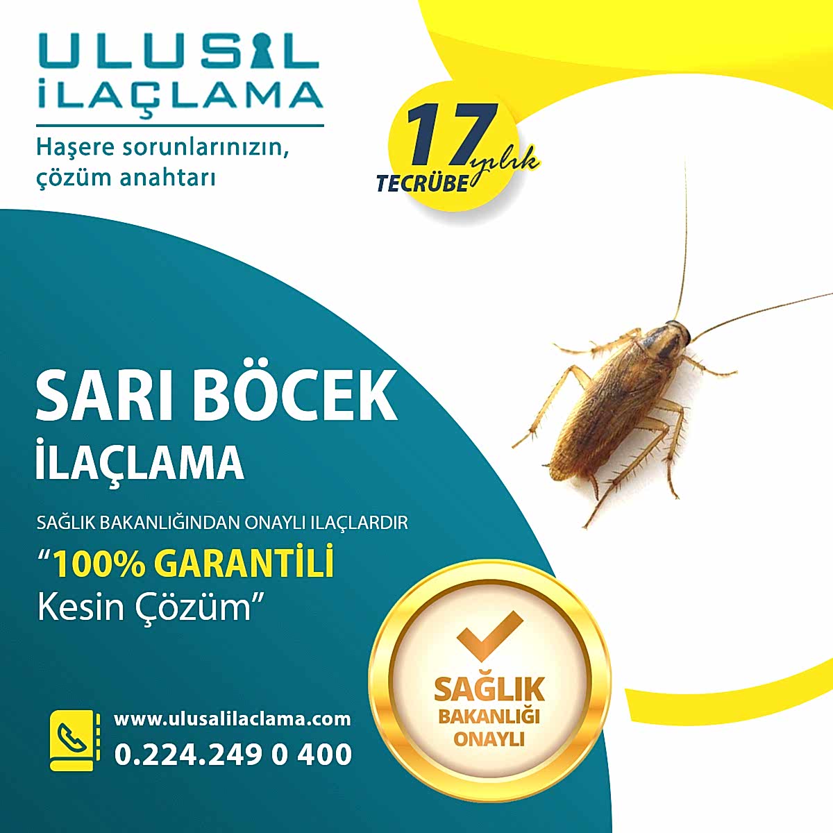 SARI BÖCEKLERDEN NASIL KURTULURUM...