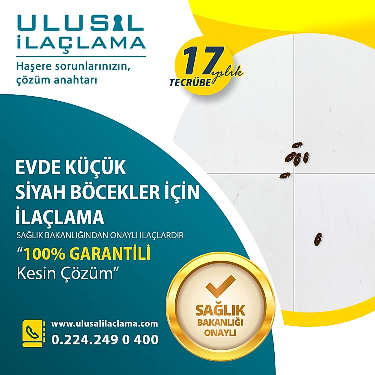 EVDE KÜÇÜK SİYAH BÖCEKLER VAR...