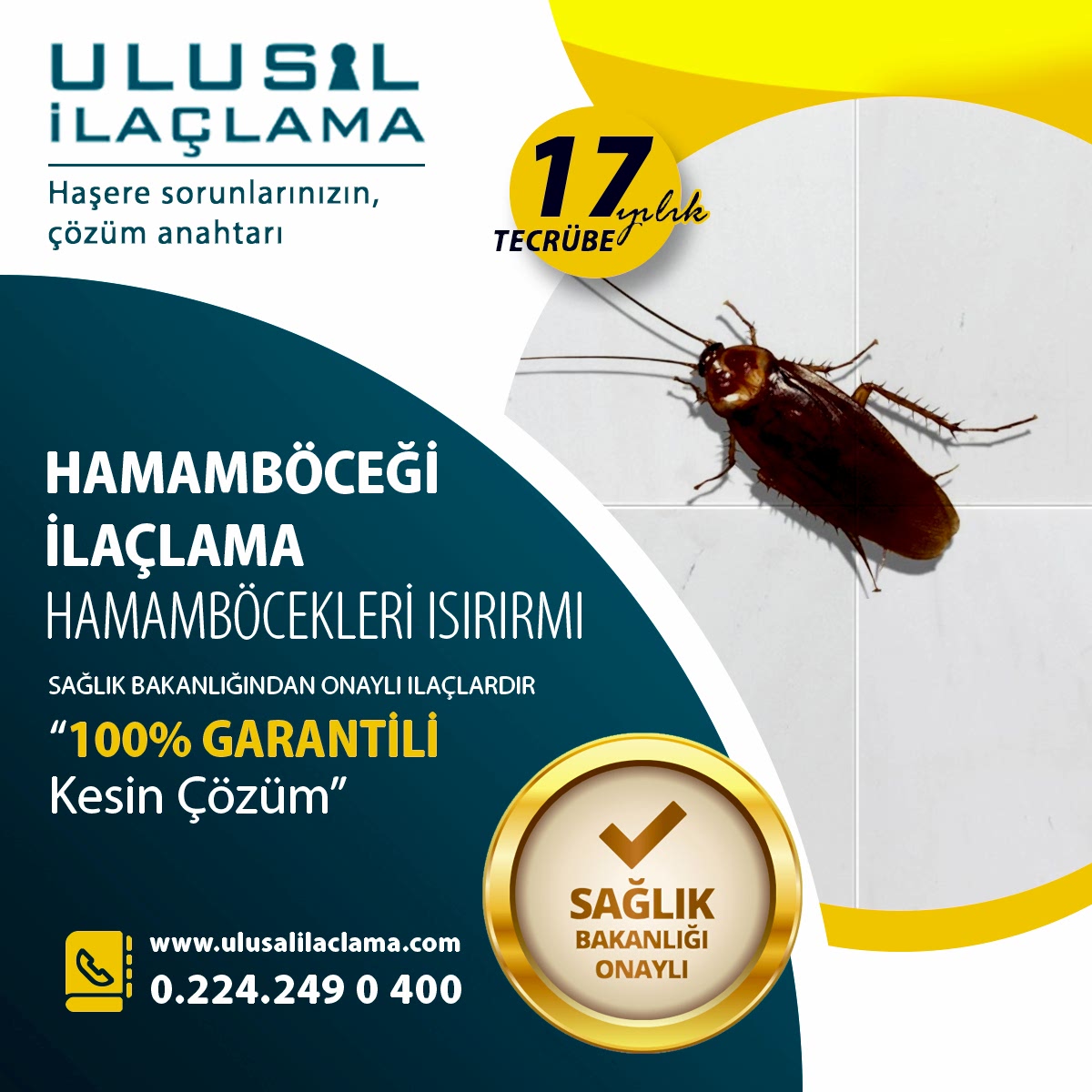 HAMAMBÖCEKLERİ ISIRIRMI...