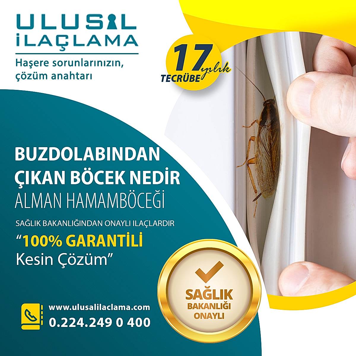 BUZDOLABINDAN ÇIKAN BÖCEK NEDİR...