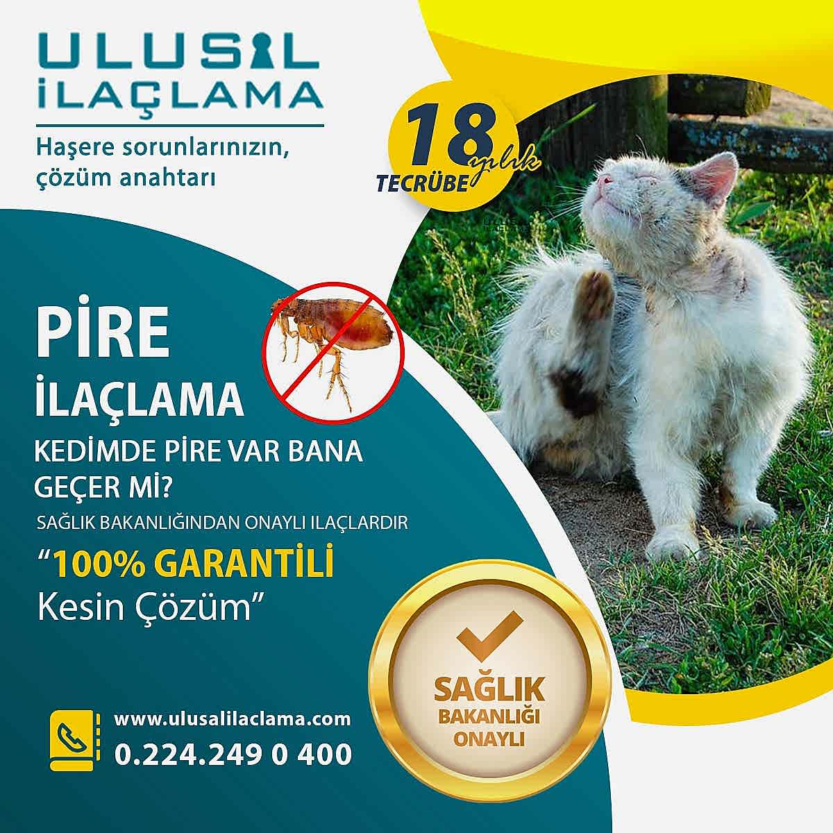 Bursa Pire İlaçlama Firması...