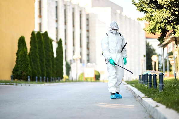 Yaz aylarında haşerelerin artış göstermesi...