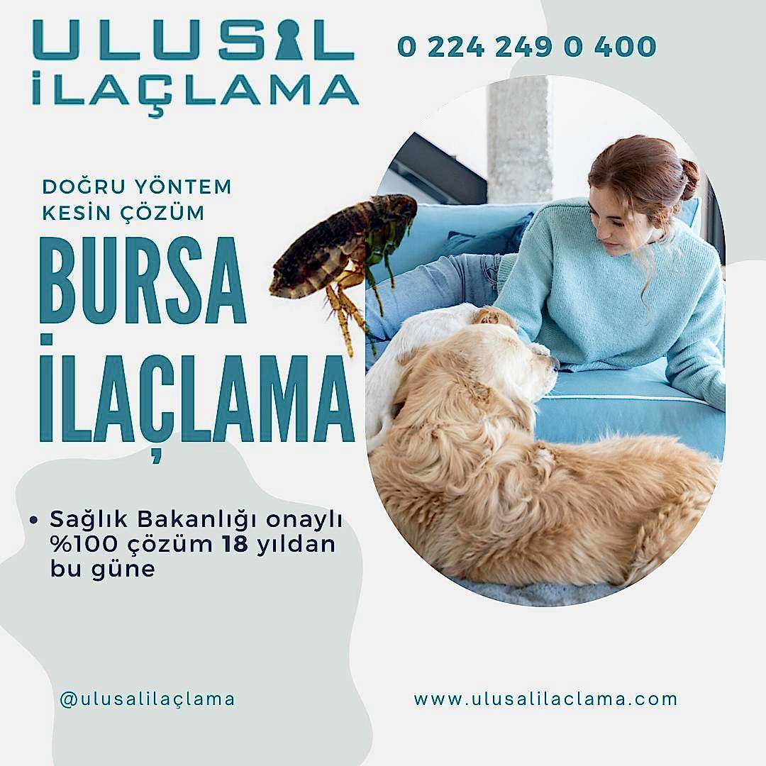 Pire İlaçlama Hakkında Bilinmesi Gerekenler...