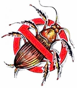 Bursa Böcek İlaçlama...