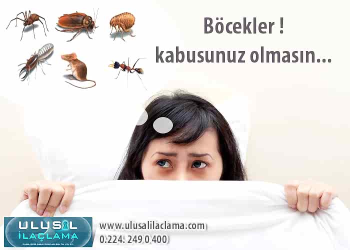 Böcekler ! Kabusunuz olmasın......