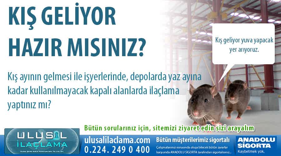 Kış Geliyor Hazır mısınız? İlaçlama Yaptırdınız mı?...