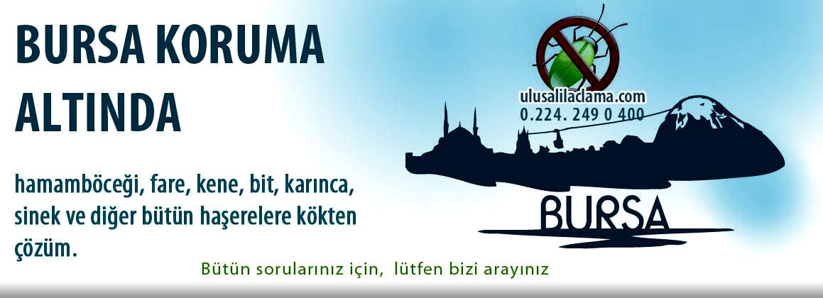 BURSA İLAÇLAMA ...