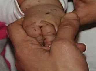 Fare bebeği az daha yiyordu...