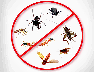 BURSADA GÜVENİLİR VE GARANTİLİ İLAÇLAMA...